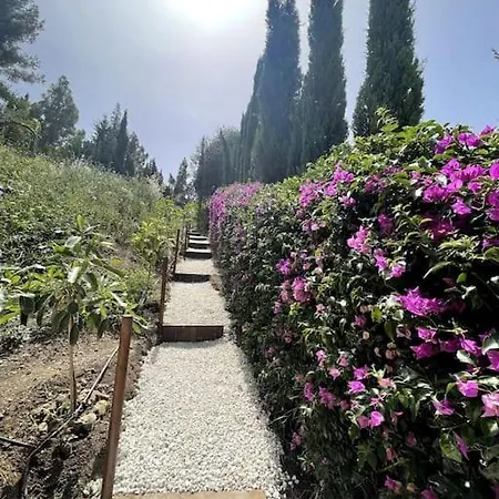 Villa Marbella Villa Marbella